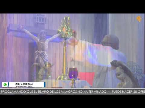 Momentos de oración | Padre Martín Ávalos | Estamos orando por tus intenciones