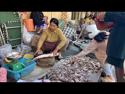 A Wonderful Collection Of Cambodia Market Street Food In the Countryside