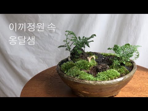 깊은 이끼정원 속 옹달샘 | 옹기화분과 홈가드닝