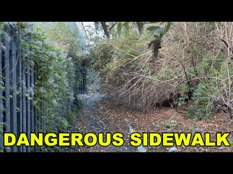 Women Felt UNSAFE Walking On DANGEROUS Sidewalk But Were Grateful We Made It SAFE Again!!