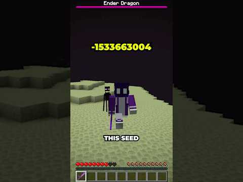 Secret of The End Dimension