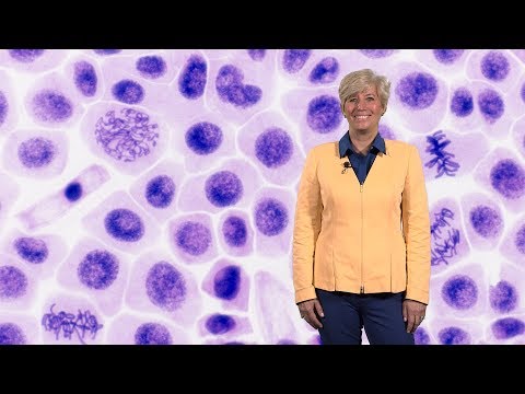 Helen Piwnica-Worms (U. Texas) 1: A Historical Perspective on Cell Cycle Regulation