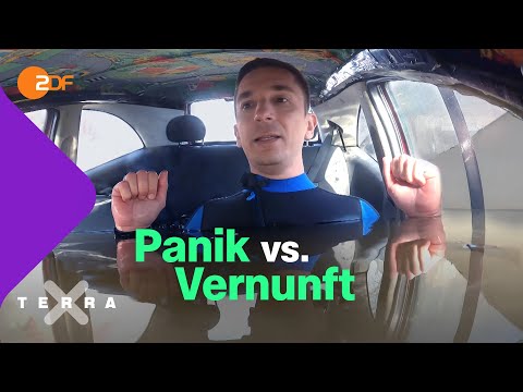 Wie rettet man sich aus einem sinkenden Auto? | Terra X plus