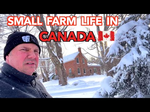Farm Hit with Major Winter Weather Event | Small Farm Life in Canada