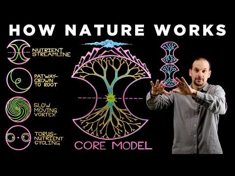 How to See the Hidden Patterns of Nature