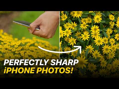 Secret iPhone Camera Feature For Perfectly Sharp Photos.