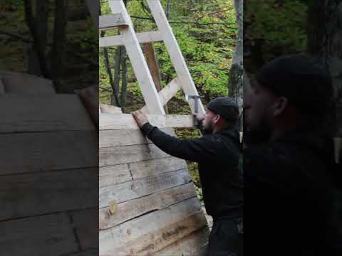 Bushcraft skills #bushcraft #survival #camping #outdoors #lifehacks #forest #shorts Part 3