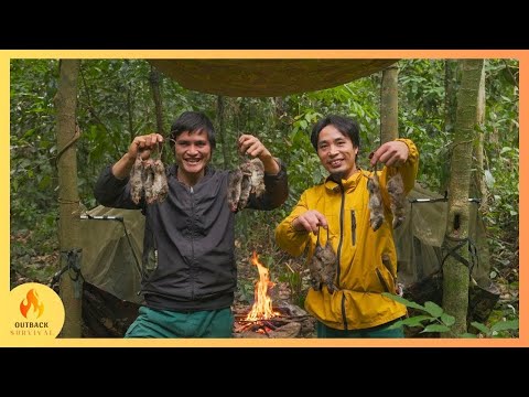 48h Survival Challenge Into the Wild - No Food, Water, Shelter