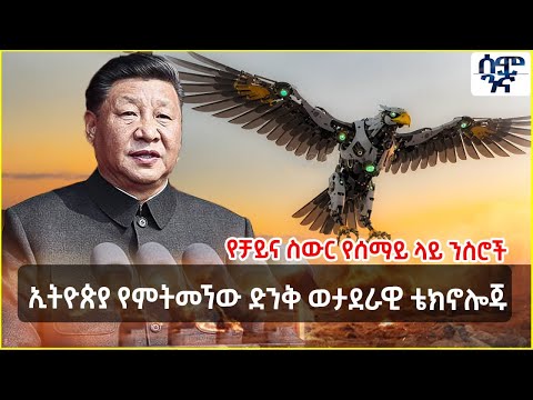 ኢትዮጵያ የምትመኘው ድንቅ ወታደራዊ ቴክኖሎጁ | የቻይና ስውር የሰማይ ላይ ንስሮች | Semonigna