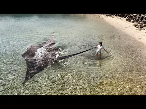 Unglaubliche Momente, die von der Kamera festgehalten wurden