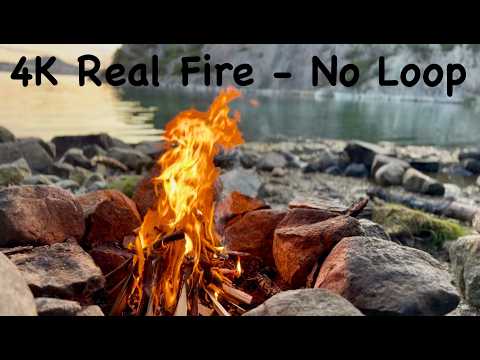 1 Hour 4K Summer Campfire by the Ocean | Real Fire Sounds & Coastal Ambience for Relaxation