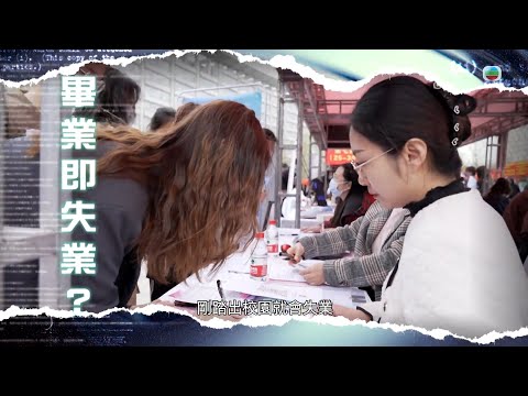 TVB新聞透視 ｜畢業即失業？｜(繁／簡字幕)｜無綫新聞 ｜TVB News