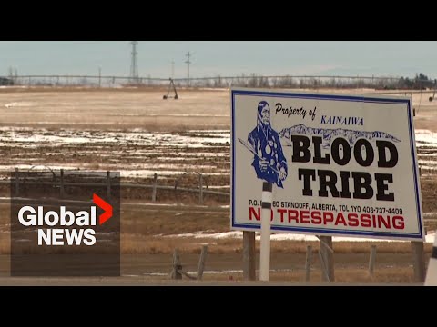 Alberta police investigate attempted kidnapping on Blood Tribe reserve