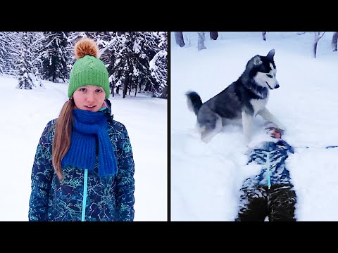 This Dog Has No Chill