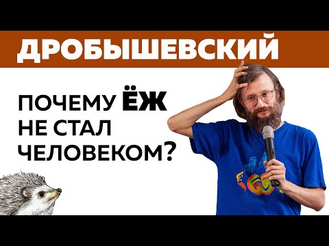 Дробышевский – почему еж не стал человеком