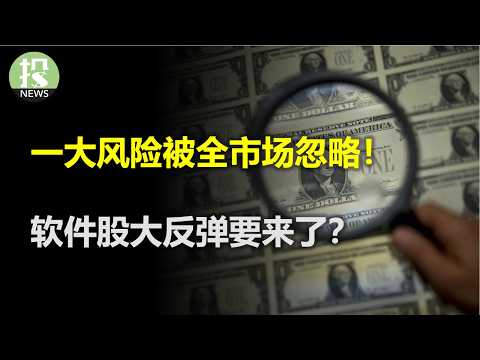 软件股大反弹要来了？谷歌拯救了整个AI！一大风险被全市场忽略！SpaceX助力马斯克宇宙！