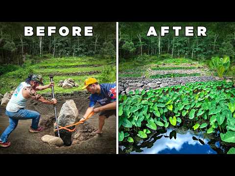 How Hawaiian Rebels are Rebuilding an Ancient Food Paradise