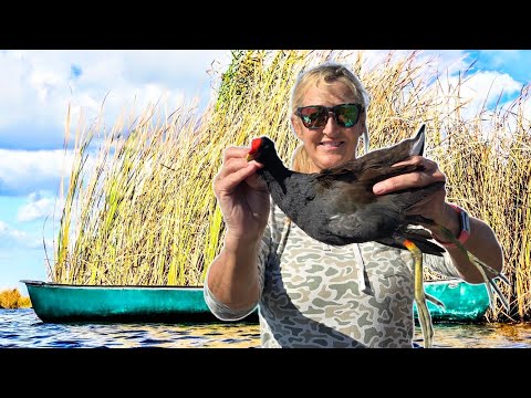 Hunting Swamp Chickens out of a Canoe! AKA  Gallinule & Moorhen - It's What's for Supper!