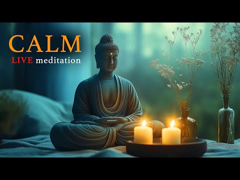 This livestream has ended. We will release a new version of this livestream soon. See link below.