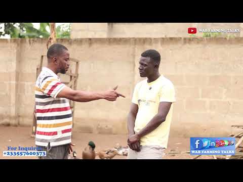 How I Made 1 Million Ghana Cedis from Duck Farming 🦆💰
