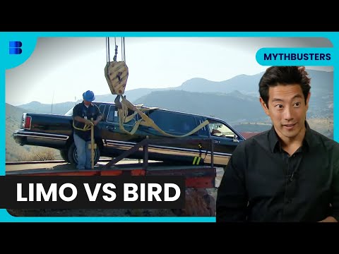 Limo Cliffhanger Chaos - Mythbusters - S07 EP21 - Science Documentary