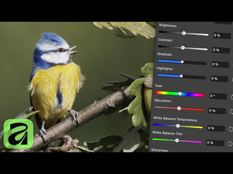 Using the Quick Adjustments Panel in Affinity