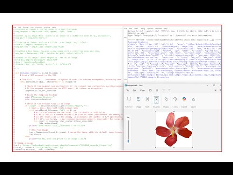 Downloading and Opening Images from Internet Using Python (requests and pillow Libraries)