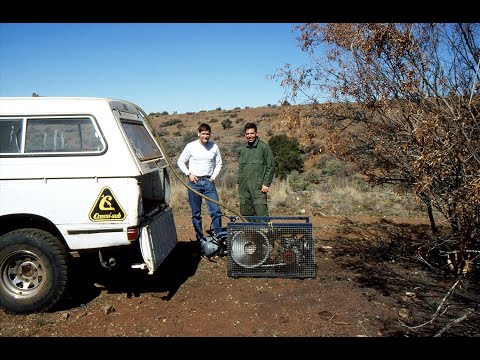 Sheck Exley   Bushmansgat Cave Part 1