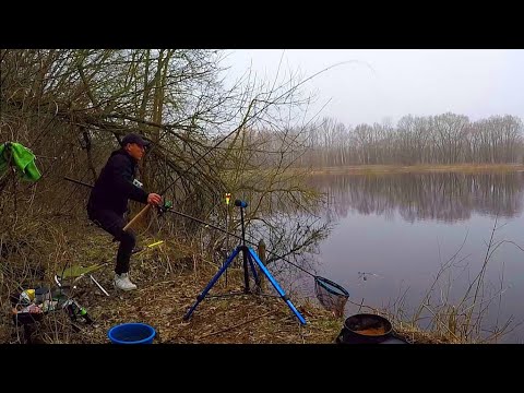 MADE A PLACE ON THE BEAVER PATH AND IMMEDIATELY STICKED INTO A ARC Feeder Fishing