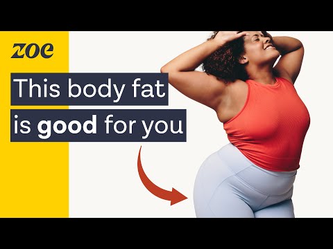 How body fat impacts health and aging | Prof. Deborah Clegg and Dr. Sarah Berry