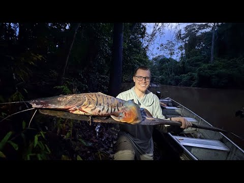 Two Weeks Camping in the Amazon Jungle - How I Survived