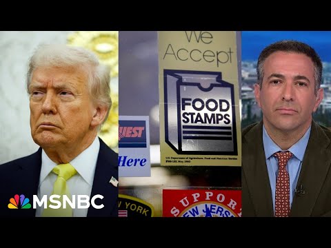 Chaos: ‘Trump shutdown’ sparks outrage as food aid, air travel take MAJOR hit: Melber report