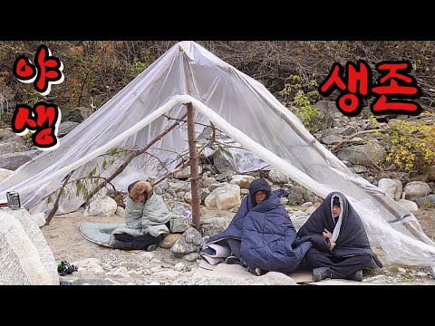 Let's build a house and live in a deep mountain valley where no one lives!!!