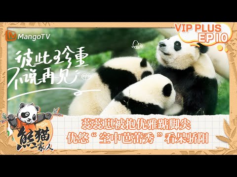 FULL｜蕊蕊崽被抱优雅踮脚尖 优悠“空中芭蕾秀”看呆骄阳｜《熊猫一家人Panda‘s Family》｜EXTRA 10｜MangoTV