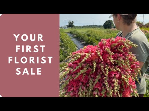 Flower Farming 101: Selling to Your First Florist...and pricing tips