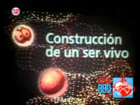 El origen de la vida Padre Carreira