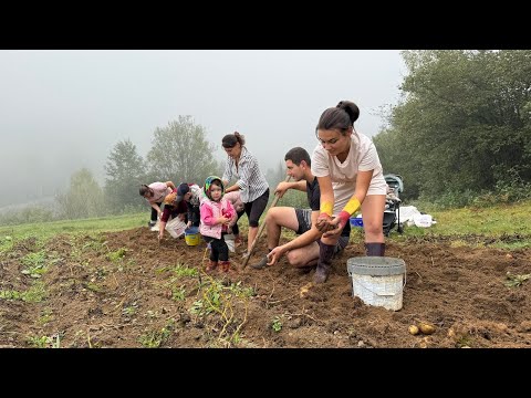 โญ Rural Family Life โ Carpathian Harvest ๐๏ธ๐ฅ BBQ Feast & Laughter with Loved Ones ๐โค๏ธ