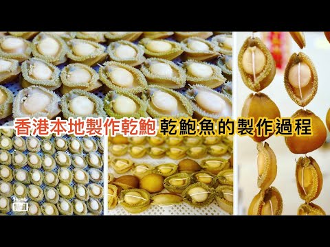 乾鮑魚製作罕有公開 ｜ 香港也有本地製作的乾鮑魚 ｜ 由一隻鮮鮑魚變做乾鮑魚需要多少工序 有三十多年經驗的鮑饌創辦人親自示範製作乾鮑《醉男-醉男啤啤夫系列》