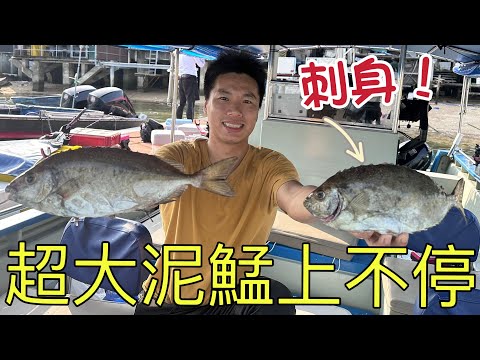 釣魚2024｜18浦船釣巨型泥鯭上不停！！！挑戰泥鯭刺身！你們夠膽試嗎？￼