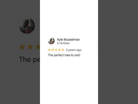 The Tree We Need, Not The One We Deserve