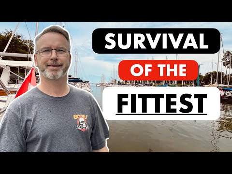 Real Estate Developers & Builders are Panicking!