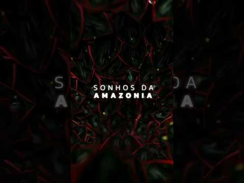 A portal to the jungle