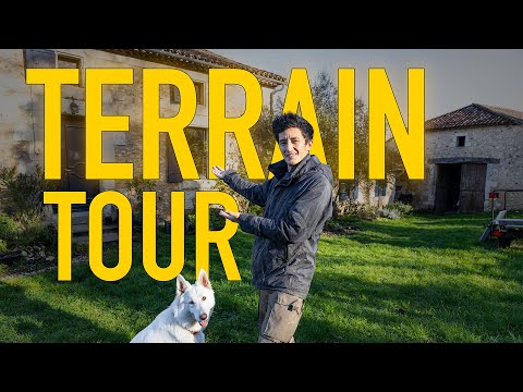 How much did the property cost me?