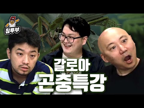곤충만화가 갈로아 '아무 곤충말 대잔치' 특강