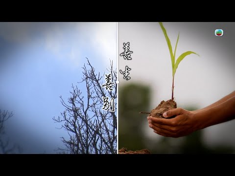 TVB 星期日檔案 ｜善生‧善別 (繁／簡字幕)｜ 無綫新聞｜TVB News｜殯儀｜殯葬