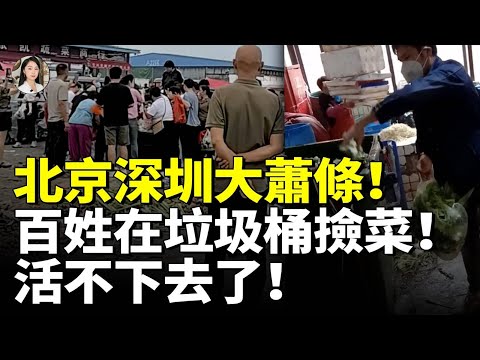 北京深圳大蕭條！一夜間天塌了！百姓在垃圾桶撿剩菜 活不下去了！#睇大陸