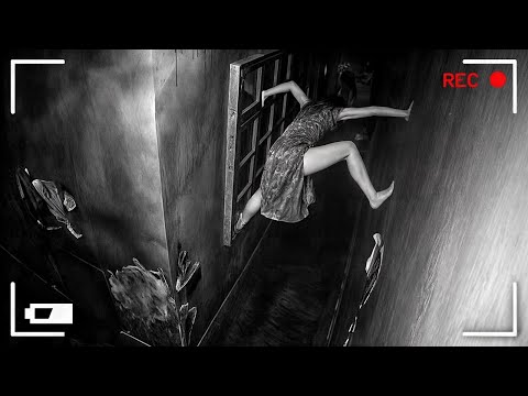 Incredible Moments Caught on Camera