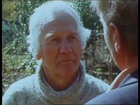 «Тропой Арсеньева» - фильм Николая Задорнова