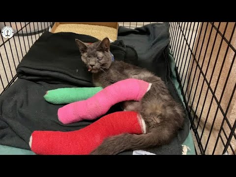 Called a 'Monster' for 5 years, he wept when he finally felt a gentle touch