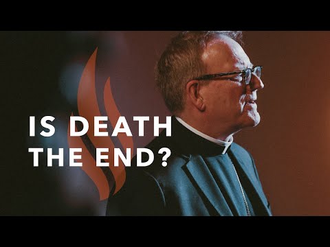 Is Death the End? - Bishop Barron's Sunday Sermon